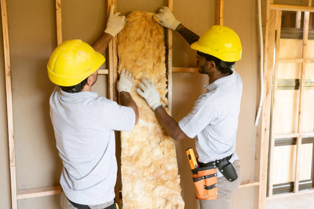 Insulation Replacement Services in Delta, OH
